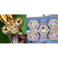 Лампа операционная SAIKANG SK-LLD05E однокупольная - Фото 1