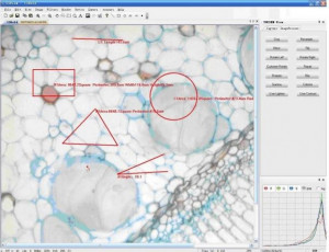 Цифровой микроскоп XS-3330 LED MICROmed (с камерой 5 Мп.) - Фото 1