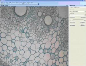 Цифровой микроскоп XS-3330 LED MICROmed (с камерой 5 Мп.) - Фото 1