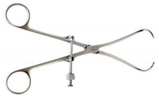 Костодержатель прямой. Длина 21,0 см (К-179) - Фото 1