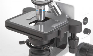 Лабораторный микроскоп micros MCX100 CROCUS - Фото 1